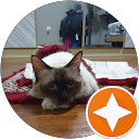 Raqib profile picture